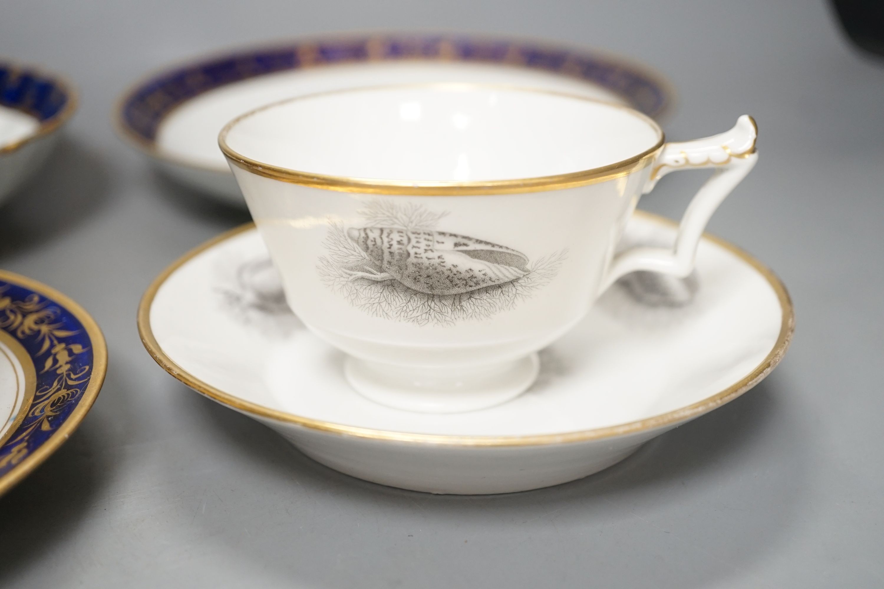 A Flight Barr and Barr teacup and saucer printed with shells, similar teacup and saucer with blue and gold decoration, and two Flight Barr and Barr gold and blue saucers dishes c. 1820, dish 20 cms diameter.